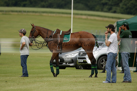 Dubai v La Bamba de Areco in a Veuve Clicquot Gold Cup Polo Match 2013.07.04