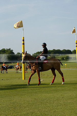 Shoreline v Cowdray Vikings in a Easebourne Cup Semi-final Polo match 2013.06.07