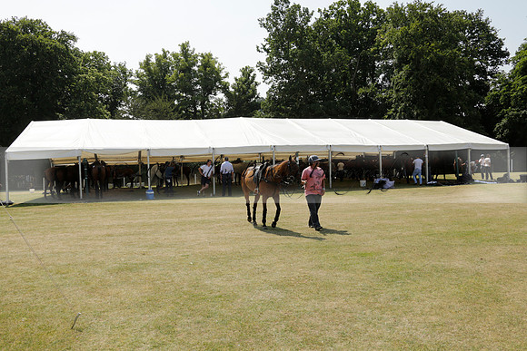 Zacara v Talandracas in a Veuve Clicquot Gold Cup Polo Match 2013.07.18