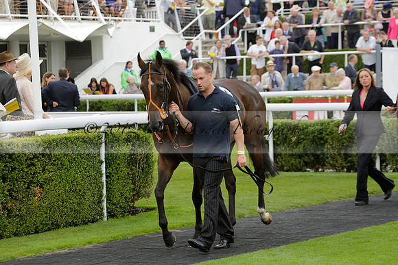 Race 6 Goodwood The British Stallion Studs Turf Club E.B.F. Fillies Stakes. 20130731. Race winner Ribbons owner Elite Racing Club