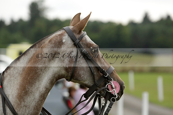 Beau Design v Boscom in an August Rother Cup 4 goal polo match at Cowdray Park Polo Club on Wednesday 07 August 2013