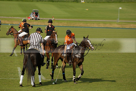Shoreline v Cowdray Vikings in a Easebourne Cup Semi-final Polo match 2013.06.07