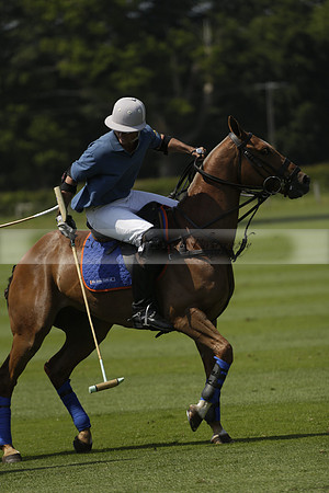 Four Quarters Orange v Montana in a Cicero Cup Polo match 2013.06.06