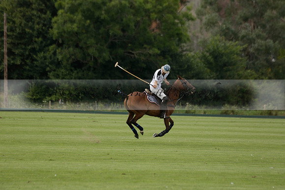 Beau Design v Boscom in an August Rother Cup 4 goal polo match at Cowdray Park Polo Club on Wednesday 07 August 2013