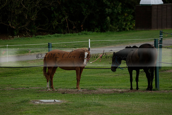The Junior HPA / Polo Club Gannon 1  polo match and presentations at Cowdray Park Polo Club on Friday 09  August 2013