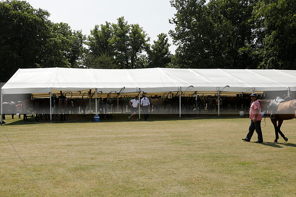 Zacara v Talandracas in a Veuve Clicquot Gold Cup Polo Match 2013.07.18