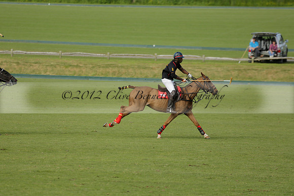 Shoreline v Cowdray Vikings in a Easebourne Cup Semi-final Polo match 2013.06.07
