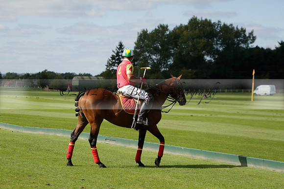 Four Quarters Black (black) v BHC (red) in a Autumn Cup polo match on Ambersham 2 at Cowdray Park Polo Club on Friday 20 September 2013 www.polopictures.co.uk