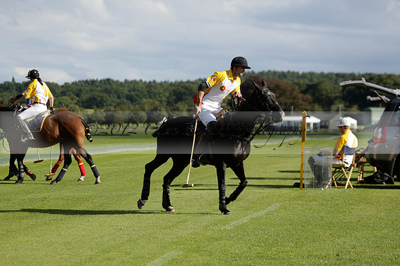Aryana (black) v Shoreline (yellow) in a Farewell Cup polo match played on Ambersham 5 at Cowdray Park Polo Club on Wednesday 18 September 2013. www.polopictures.co.uk