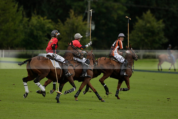 Four Quarters Black (black) v Clashleigh (red) in the Autumn Cup subsidiary final polo match on Ambersham 2 at Cowdray Park Polo Club on Sunday 22 September 2013 www.polopictures.co.uk
