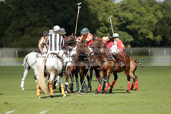 Four Quarters Black (black) v BHC (red) in a Autumn Cup polo match on Ambersham 2 at Cowdray Park Polo Club on Friday 20 September 2013 www.polopictures.co.uk