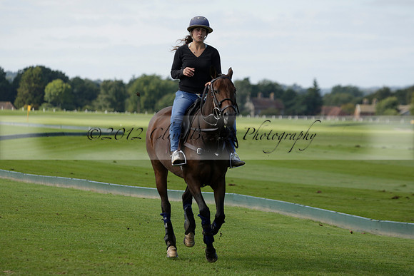 Four Quarters Black (black) v BHC (red) in a Autumn Cup polo match on Ambersham 2 at Cowdray Park Polo Club on Friday 20 September 2013 www.polopictures.co.uk