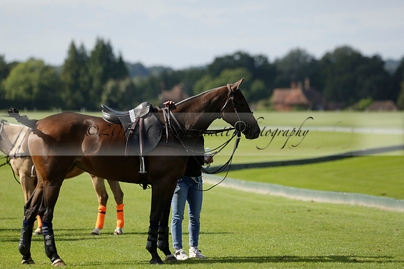 Four Quarters Black (black) v BHC (red) in a Autumn Cup polo match on Ambersham 2 at Cowdray Park Polo Club on Friday 20 September 2013 www.polopictures.co.uk