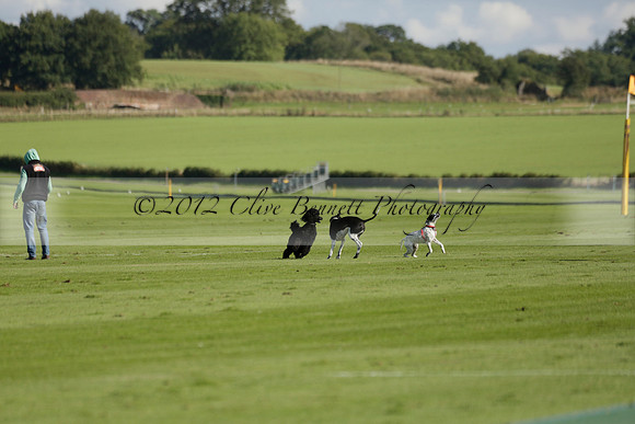 Aryana (black) v Shoreline (yellow) in a Farewell Cup polo match played on Ambersham 5 at Cowdray Park Polo Club on Wednesday 18 September 2013. www.polopictures.co.uk