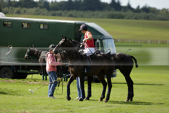 Four Quarters Black (black) v BHC (red) in a Autumn Cup polo match on Ambersham 2 at Cowdray Park Polo Club on Friday 20 September 2013 www.polopictures.co.uk