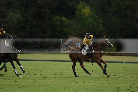 Maiz Dulce (green) v Las Esterellas (yellow) in the PSI Final polo match at Cowdray Park Polo Club on Ambersham 2 on Sunday 2013.09.08 www.polopictures.co.uk