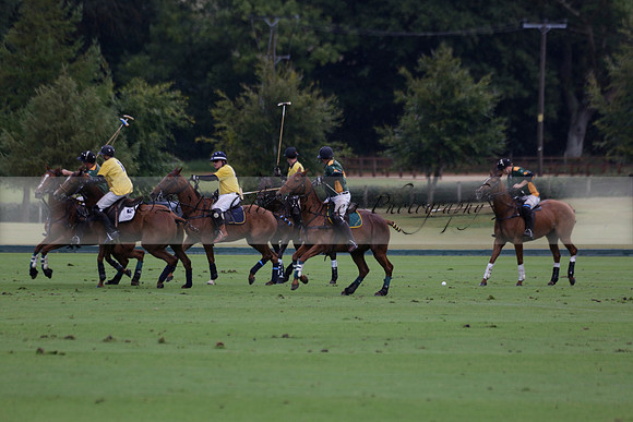 Maiz Dulce (green) v Las Esterellas (yellow) in the PSI Final polo match at Cowdray Park Polo Club on Ambersham 2 on Sunday 2013.09.08 www.polopictures.co.uk