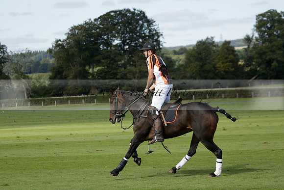 Four Quarters Black (black) v BHC (red) in a Autumn Cup polo match on Ambersham 2 at Cowdray Park Polo Club on Friday 20 September 2013 www.polopictures.co.uk