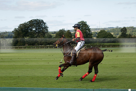 Four Quarters Black (black) v BHC (red) in a Autumn Cup polo match on Ambersham 2 at Cowdray Park Polo Club on Friday 20 September 2013 www.polopictures.co.uk