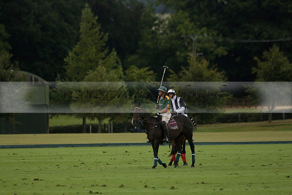 Maiz Dulce (green) v Las Esterellas (yellow) in the PSI Final polo match at Cowdray Park Polo Club on Ambersham 2 on Sunday 2013.09.08 www.polopictures.co.uk