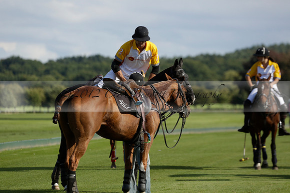 Aryana (black) v Shoreline (yellow) in a Farewell Cup polo match played on Ambersham 5 at Cowdray Park Polo Club on Wednesday 18 September 2013. www.polopictures.co.uk