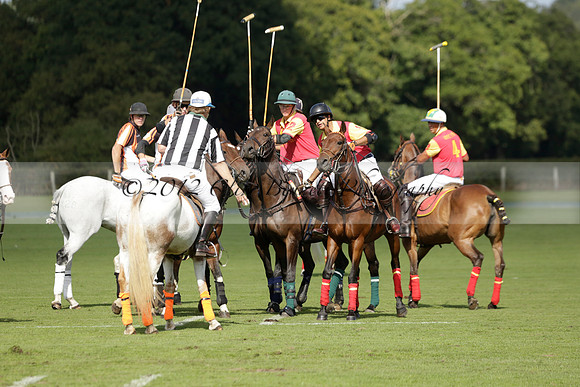Four Quarters Black (black) v BHC (red) in a Autumn Cup polo match on Ambersham 2 at Cowdray Park Polo Club on Friday 20 September 2013 www.polopictures.co.uk