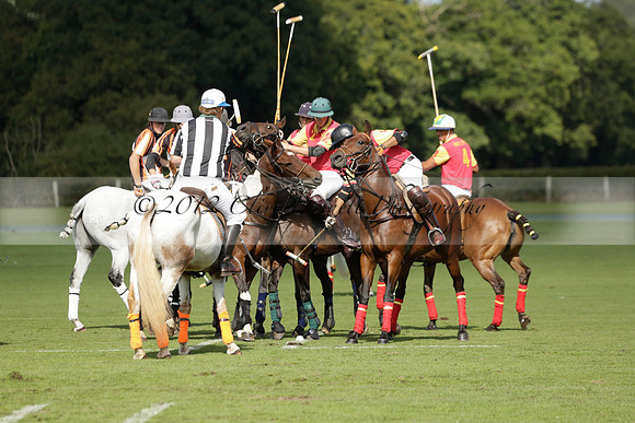 Four Quarters Black (black) v BHC (red) in a Autumn Cup polo match on Ambersham 2 at Cowdray Park Polo Club on Friday 20 September 2013 www.polopictures.co.uk