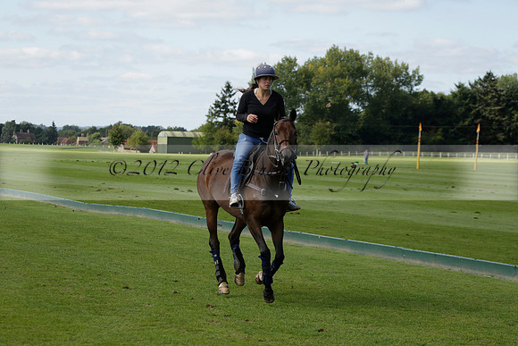 Four Quarters Black (black) v BHC (red) in a Autumn Cup polo match on Ambersham 2 at Cowdray Park Polo Club on Friday 20 September 2013 www.polopictures.co.uk