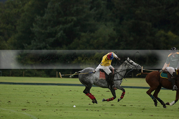 Maiz Dulce (green) v Las Esterellas (yellow) in the PSI Final polo match at Cowdray Park Polo Club on Ambersham 2 on Sunday 2013.09.08 www.polopictures.co.uk