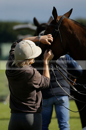Aryana (black) v Shoreline (yellow) in a Farewell Cup polo match played on Ambersham 5 at Cowdray Park Polo Club on Wednesday 18 September 2013. www.polopictures.co.uk