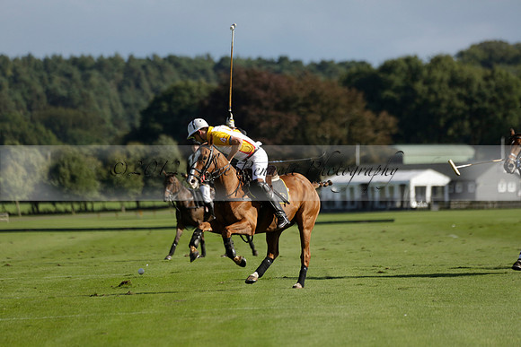 Aryana (black) v Shoreline (yellow) in a Farewell Cup polo match played on Ambersham 5 at Cowdray Park Polo Club on Wednesday 18 September 2013. www.polopictures.co.uk