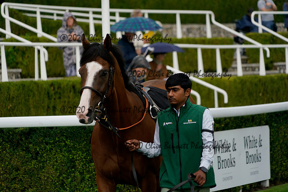 _CAB1108