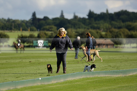 Aryana (black) v Shoreline (yellow) in a Farewell Cup polo match played on Ambersham 5 at Cowdray Park Polo Club on Wednesday 18 September 2013. www.polopictures.co.uk
