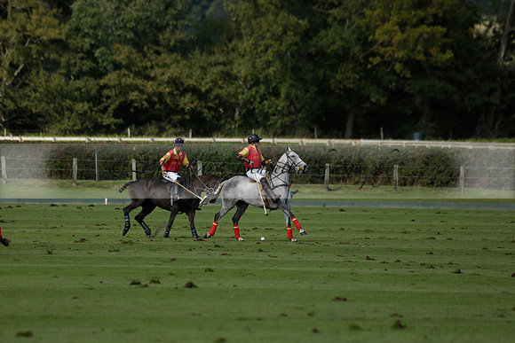Four Quarters Black (black) v BHC (red) in a Autumn Cup polo match on Ambersham 2 at Cowdray Park Polo Club on Friday 20 September 2013 www.polopictures.co.uk