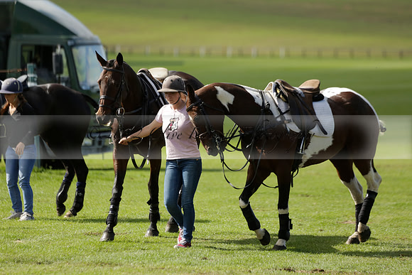 Four Quarters Black (black) v BHC (red) in a Autumn Cup polo match on Ambersham 2 at Cowdray Park Polo Club on Friday 20 September 2013 www.polopictures.co.uk