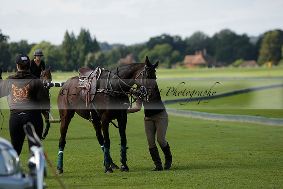 Four Quarters Black (black) v BHC (red) in a Autumn Cup polo match on Ambersham 2 at Cowdray Park Polo Club on Friday 20 September 2013 www.polopictures.co.uk