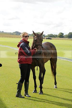 Maiz Dulce (green) v Las Esterellas (yellow) in the PSI Final polo match at Cowdray Park Polo Club on Ambersham 2 on Sunday 2013.09.08 www.polopictures.co.uk
