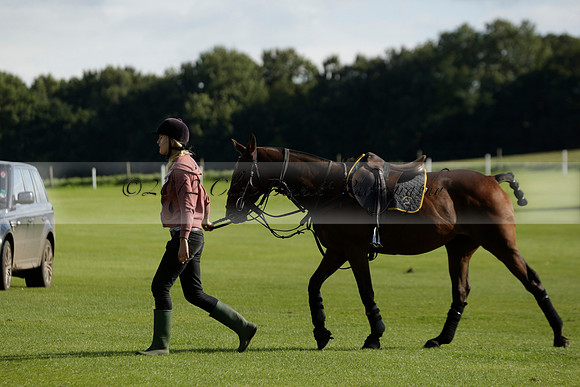 Aryana (black) v Shoreline (yellow) in a Farewell Cup polo match played on Ambersham 5 at Cowdray Park Polo Club on Wednesday 18 September 2013. www.polopictures.co.uk