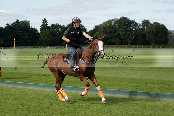 Four Quarters Black (black) v BHC (red) in a Autumn Cup polo match on Ambersham 2 at Cowdray Park Polo Club on Friday 20 September 2013 www.polopictures.co.uk