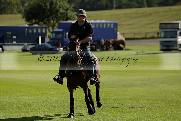 Aryana (black) v Shoreline (yellow) in a Farewell Cup polo match played on Ambersham 5 at Cowdray Park Polo Club on Wednesday 18 September 2013. www.polopictures.co.uk