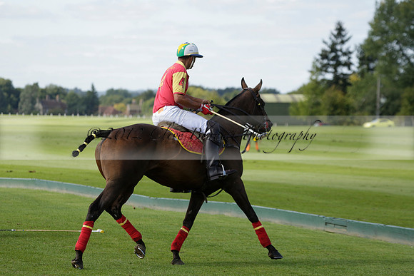 Four Quarters Black (black) v BHC (red) in a Autumn Cup polo match on Ambersham 2 at Cowdray Park Polo Club on Friday 20 September 2013 www.polopictures.co.uk
