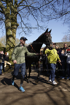 Leighton Aspell leads Many Clouds_CB_6198