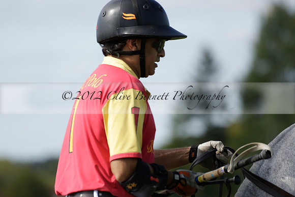 Four Quarters Black (black) v BHC (red) in a Autumn Cup polo match on Ambersham 2 at Cowdray Park Polo Club on Friday 20 September 2013 www.polopictures.co.uk