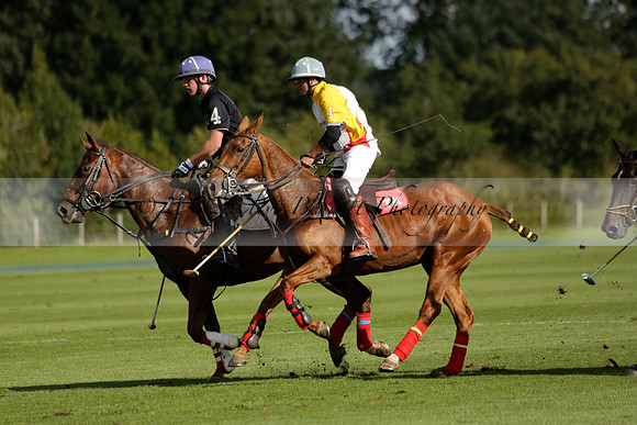 Aryana (black) v Shoreline (yellow) in a Farewell Cup polo match played on Ambersham 5 at Cowdray Park Polo Club on Wednesday 18 September 2013. www.polopictures.co.uk