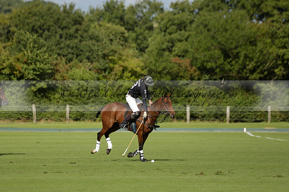 Aryana (black) v Shoreline (yellow) in a Farewell Cup polo match played on Ambersham 5 at Cowdray Park Polo Club on Wednesday 18 September 2013. www.polopictures.co.uk