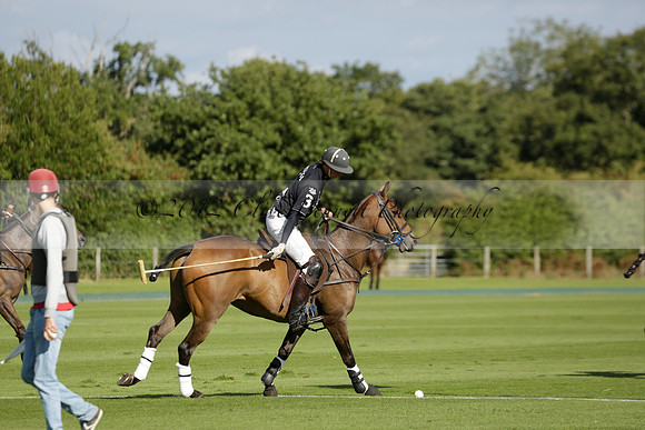 Aryana (black) v Shoreline (yellow) in a Farewell Cup polo match played on Ambersham 5 at Cowdray Park Polo Club on Wednesday 18 September 2013. www.polopictures.co.uk