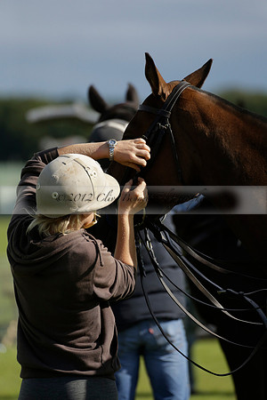 Aryana (black) v Shoreline (yellow) in a Farewell Cup polo match played on Ambersham 5 at Cowdray Park Polo Club on Wednesday 18 September 2013. www.polopictures.co.uk