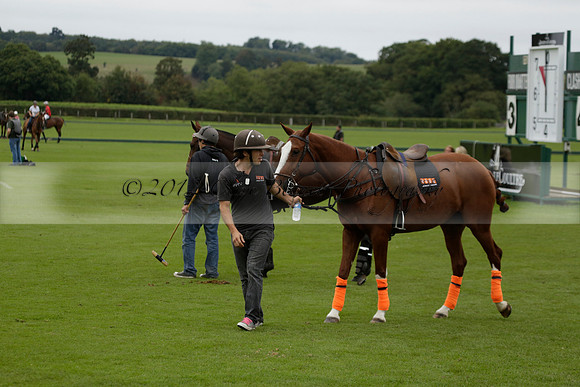 Four Quarters Black (black) v Clashleigh (red) in the Autumn Cup subsidiary final polo match on Ambersham 2 at Cowdray Park Polo Club on Sunday 22 September 2013 www.polopictures.co.uk
