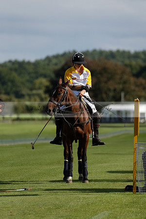 Aryana (black) v Shoreline (yellow) in a Farewell Cup polo match played on Ambersham 5 at Cowdray Park Polo Club on Wednesday 18 September 2013. www.polopictures.co.uk