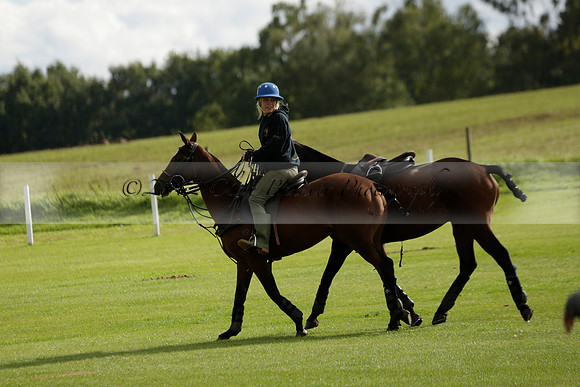 Aryana (black) v Shoreline (yellow) in a Farewell Cup polo match played on Ambersham 5 at Cowdray Park Polo Club on Wednesday 18 September 2013. www.polopictures.co.uk